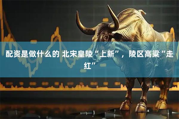 配资是做什么的 北宋皇陵“上新”,陵区高粱“走红”