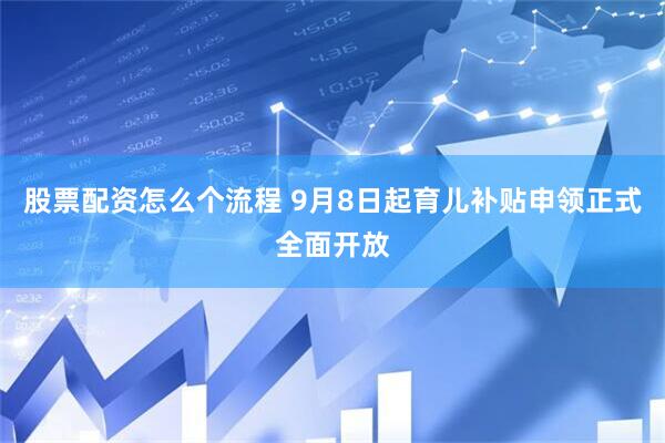 股票配资怎么个流程 9月8日起育儿补贴申领正式全面开放